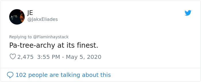 Scientist Discovers That “Tree Sexism” Might Be A Major Reason Behind Many Spring Allergies (Updated) Scientist Discovers That “Tree Sexism” Might Be A Major Reason Behind Many Spring Allergies (Updated)