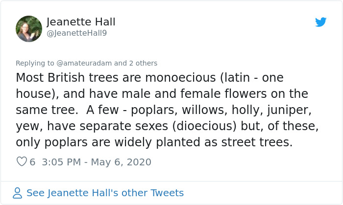 Scientist Discovers That “Tree Sexism” Might Be A Major Reason Behind Many Spring Allergies (Updated) Scientist Discovers That “Tree Sexism” Might Be A Major Reason Behind Many Spring Allergies (Updated)