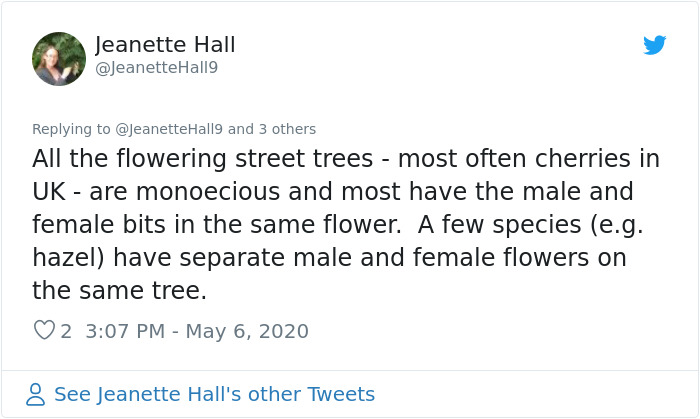 Scientist Discovers That “Tree Sexism” Might Be A Major Reason Behind Many Spring Allergies (Updated) Scientist Discovers That “Tree Sexism” Might Be A Major Reason Behind Many Spring Allergies (Updated)