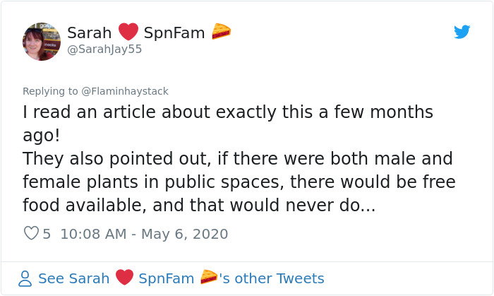 Scientist Discovers That “Tree Sexism” Might Be A Major Reason Behind Many Spring Allergies (Updated) Scientist Discovers That “Tree Sexism” Might Be A Major Reason Behind Many Spring Allergies (Updated)