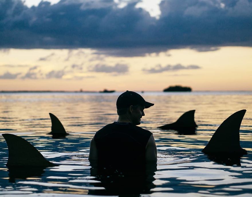 My Cardboard Cutouts With Pandemic Jokes To Make You Smile My Cardboard Cutouts With Pandemic Jokes To Make You Smile