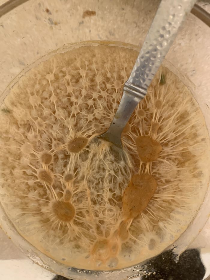 40 Times People Had No Idea What They Were Looking At, But The Internet Knew What It Was Right Away