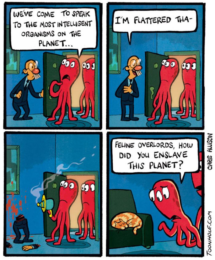 35 Funny Comics By ToonHole Chris That People With A Dark Sense Of Humor Will Appreciate (New Pics)