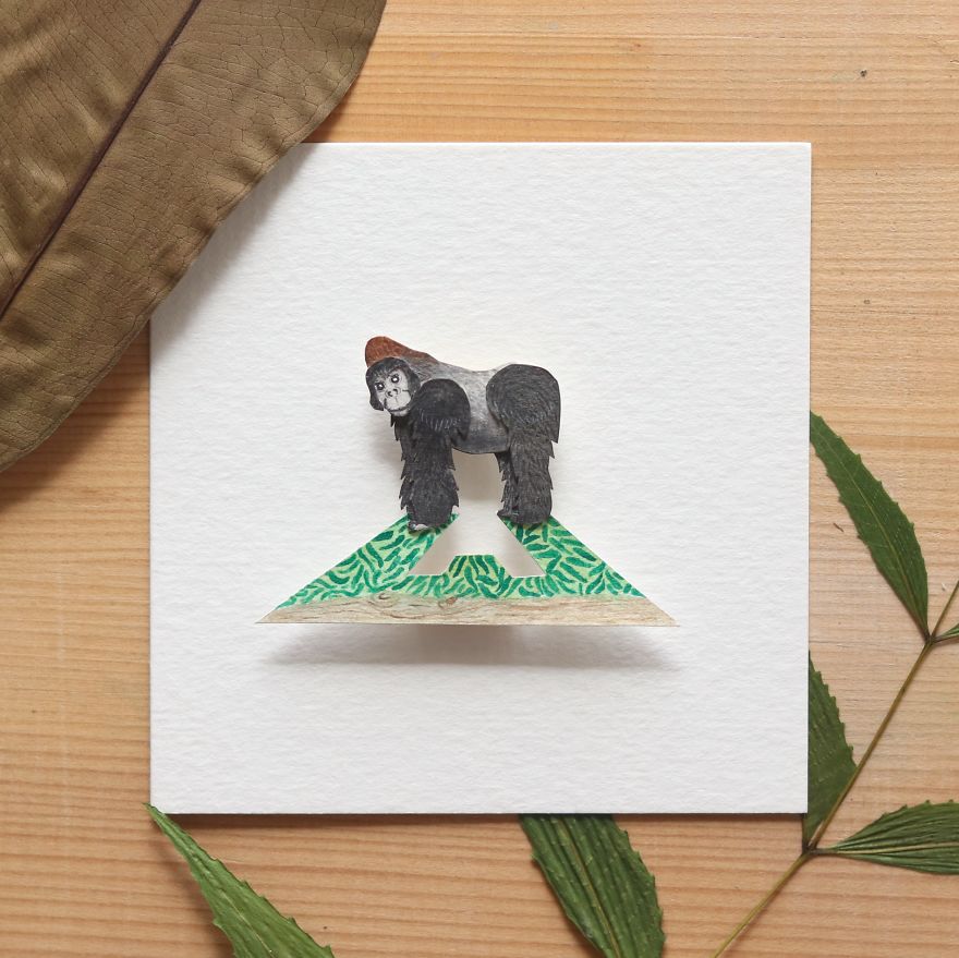 We Made An Alphabet Out Of Endangered Wildlife Species (34 Pics) We Made An Alphabet Out Of Endangered Wildlife Species (34 Pics)