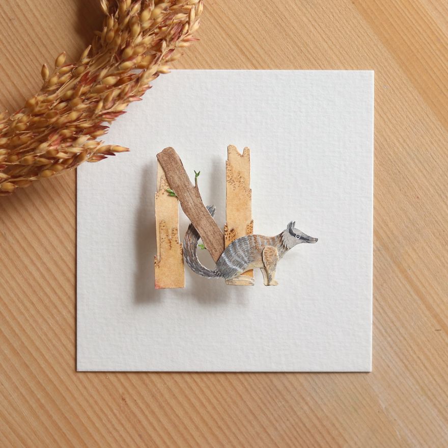 We Made An Alphabet Out Of Endangered Wildlife Species (34 Pics) We Made An Alphabet Out Of Endangered Wildlife Species (34 Pics)