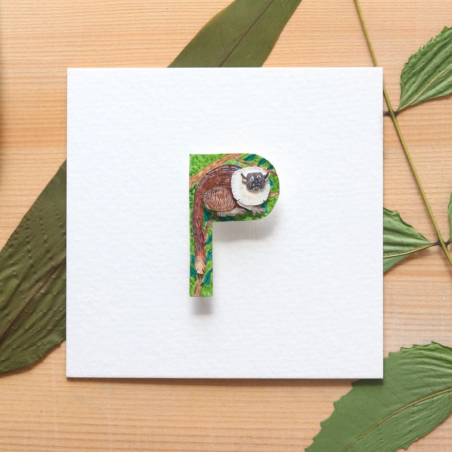 We Made An Alphabet Out Of Endangered Wildlife Species (34 Pics) We Made An Alphabet Out Of Endangered Wildlife Species (34 Pics)