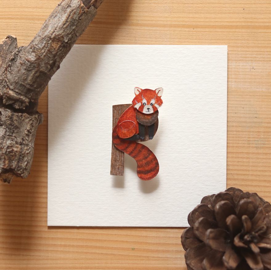 We Made An Alphabet Out Of Endangered Wildlife Species (34 Pics) We Made An Alphabet Out Of Endangered Wildlife Species (34 Pics)