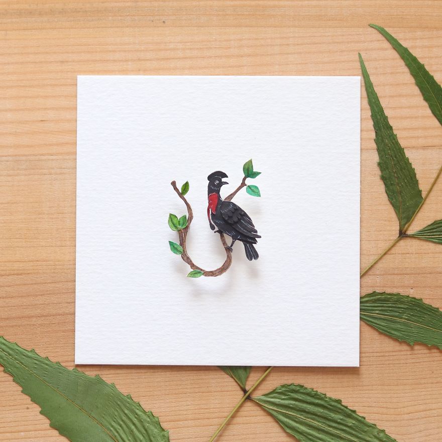 We Made An Alphabet Out Of Endangered Wildlife Species (34 Pics) We Made An Alphabet Out Of Endangered Wildlife Species (34 Pics)