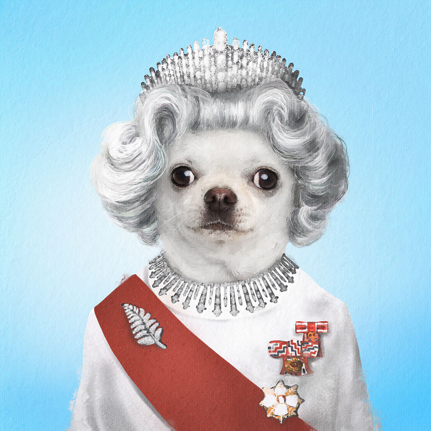 I Made Pets Into Superstars To Help Them Find A Home (20 Pics)