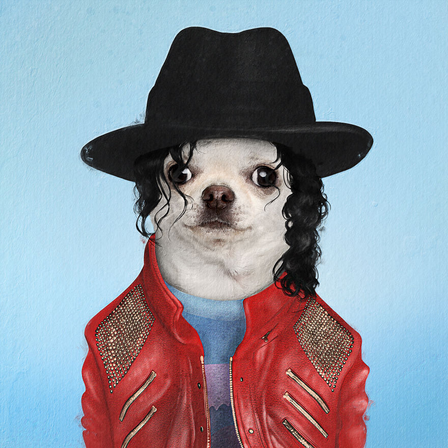 I Made Pets Into Superstars To Help Them Find A Home (20 Pics)