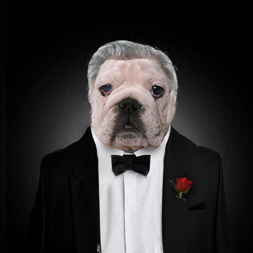 I Made Pets Into Superstars To Help Them Find A Home (20 Pics)