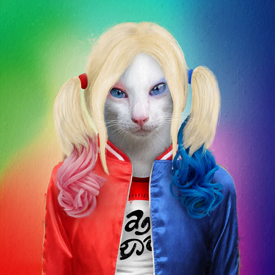 I Made Pets Into Superstars To Help Them Find A Home (20 Pics)