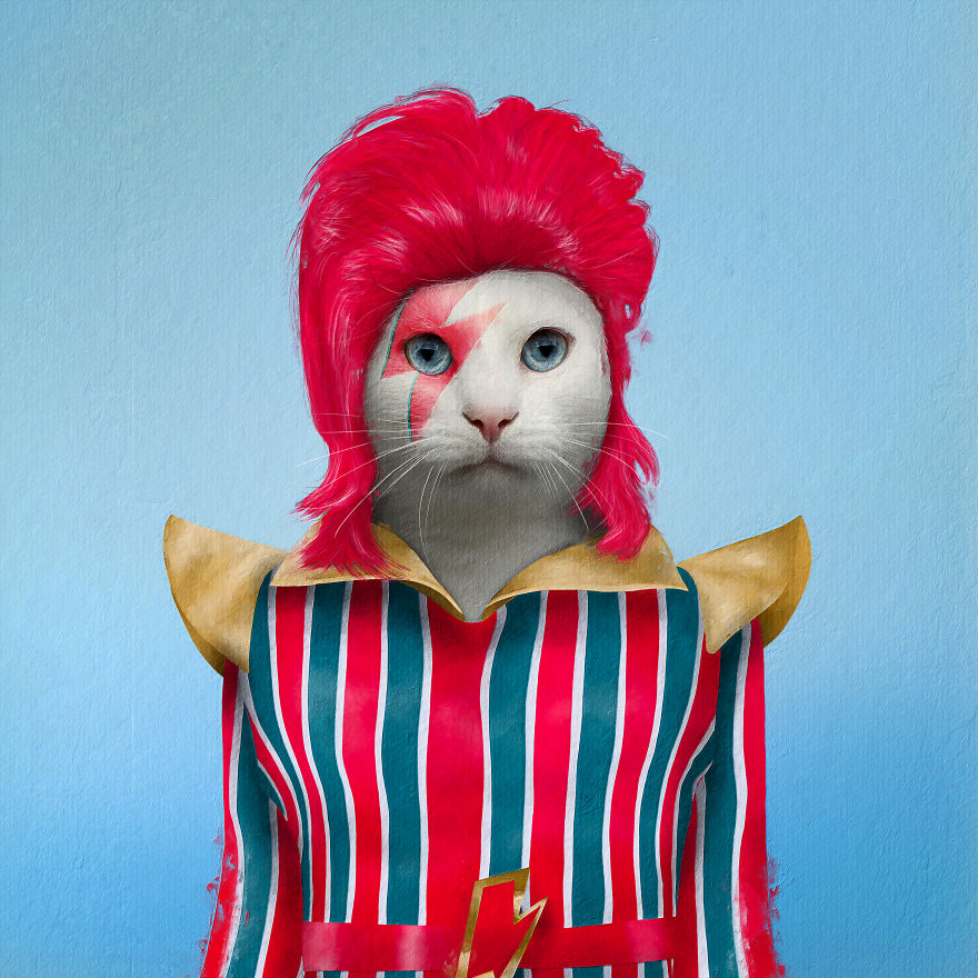 I Made Pets Into Superstars To Help Them Find A Home (20 Pics)