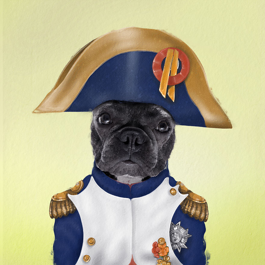 I Made Pets Into Superstars To Help Them Find A Home (20 Pics)