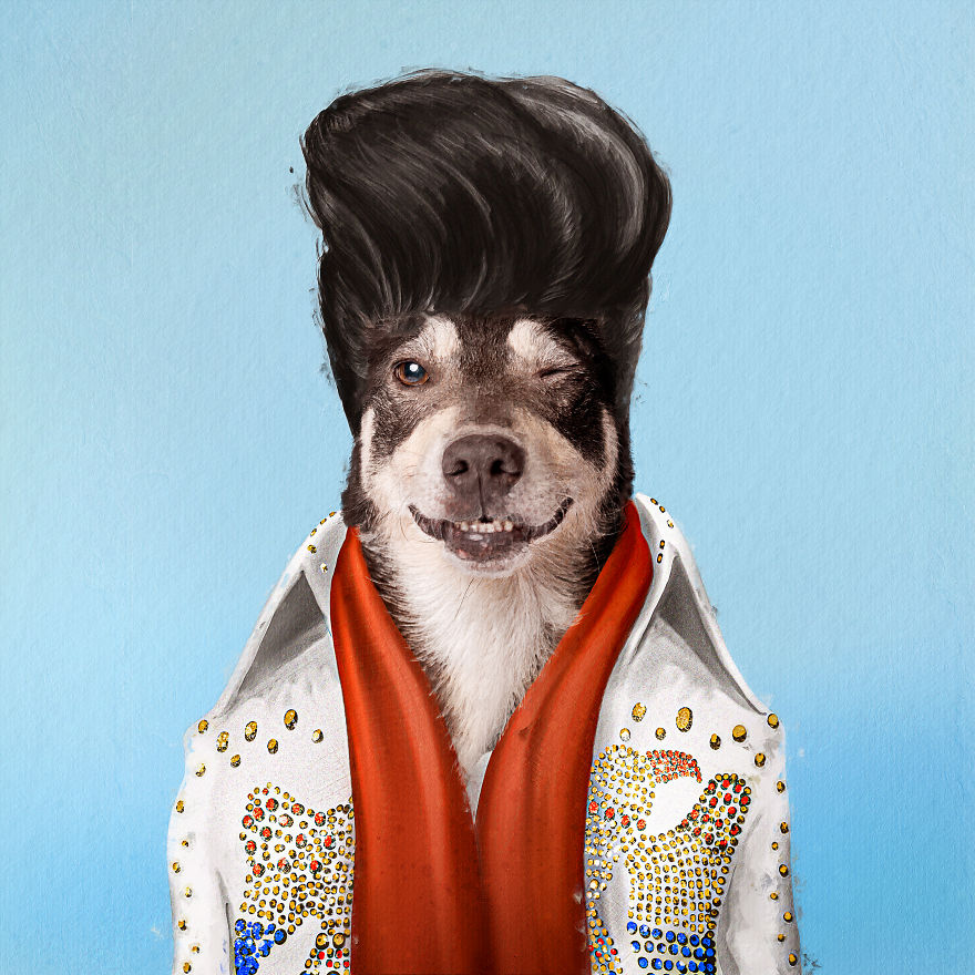 I Made Pets Into Superstars To Help Them Find A Home (20 Pics)