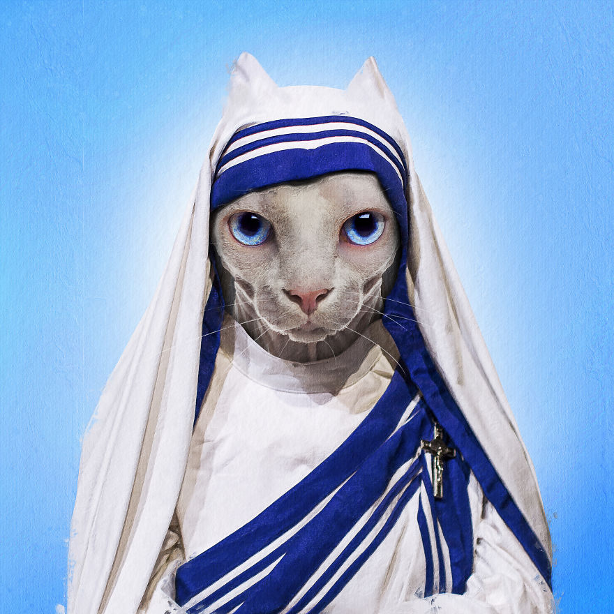 I Made Pets Into Superstars To Help Them Find A Home (20 Pics)