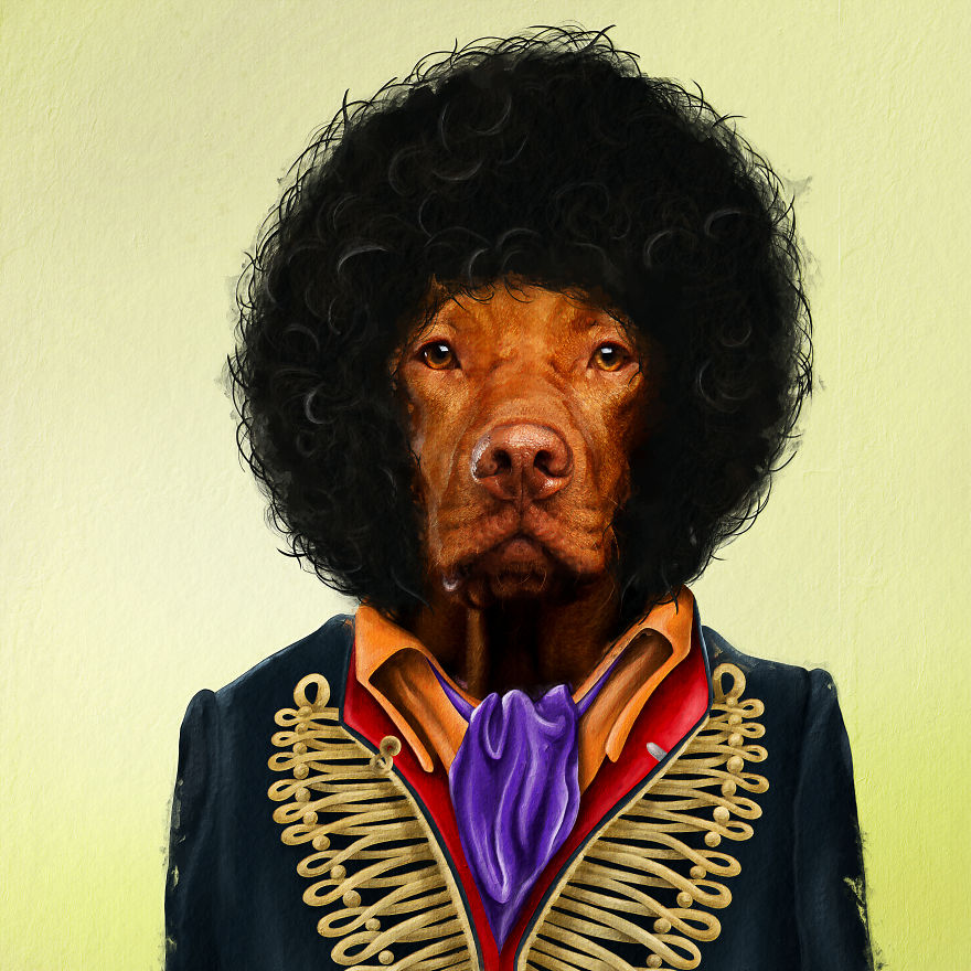 I Made Pets Into Superstars To Help Them Find A Home (20 Pics)