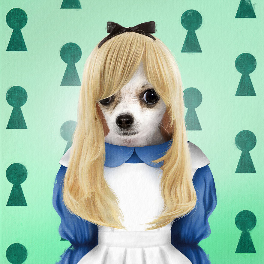 I Made Pets Into Superstars To Help Them Find A Home (20 Pics)