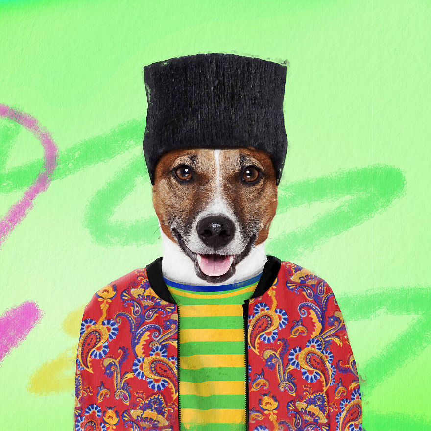 I Made Pets Into Superstars To Help Them Find A Home (20 Pics)