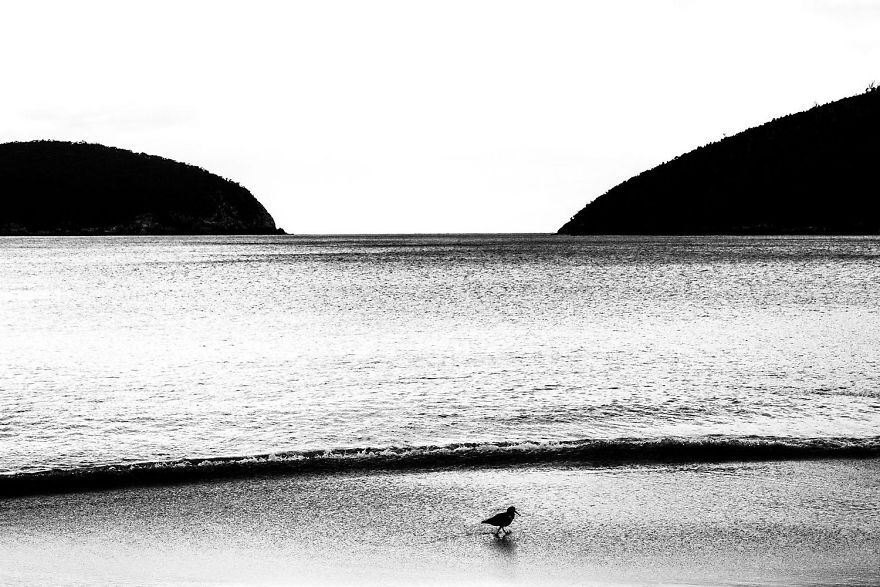 The Winning Photos From The GDT Nature Photographer Of The Year 2020 Have Been Announced And They’re Beautiful The Winning Photos From The GDT Nature Photographer Of The Year 2020 Have Been Announced And They’re Beautiful