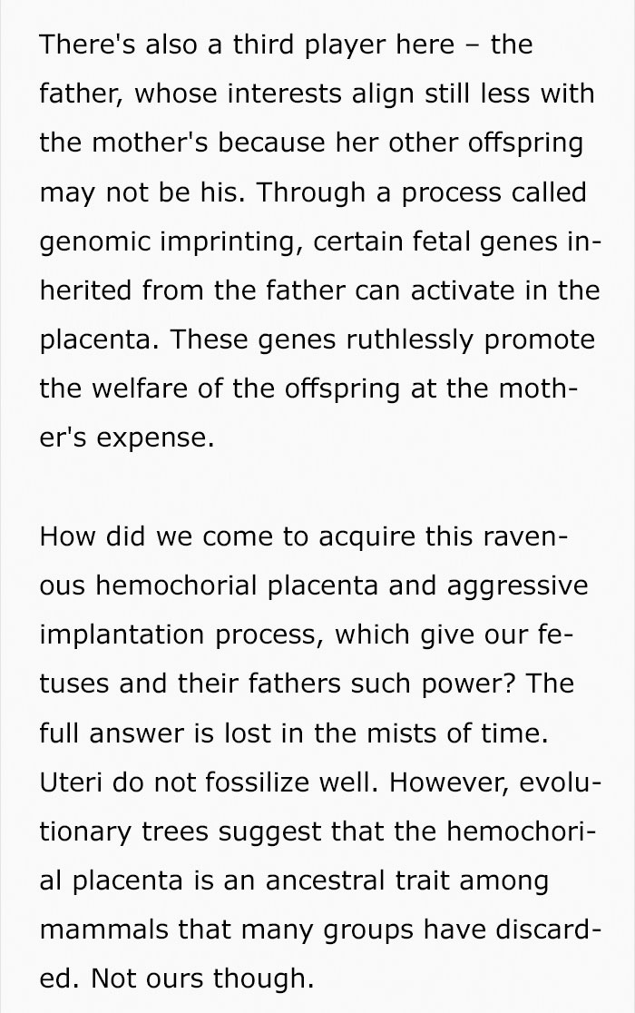 Someone Asks What&#8217;s The Evolutionary Purpose Of Having Periods, And This Scientist Delivered An In-Depth Answer