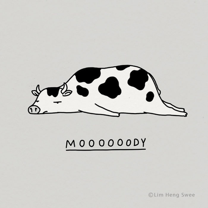 My 30 Moody Animal Puns To Help You Get Through Lockdown My 30 Moody Animal Puns To Help You Get Through Lockdown