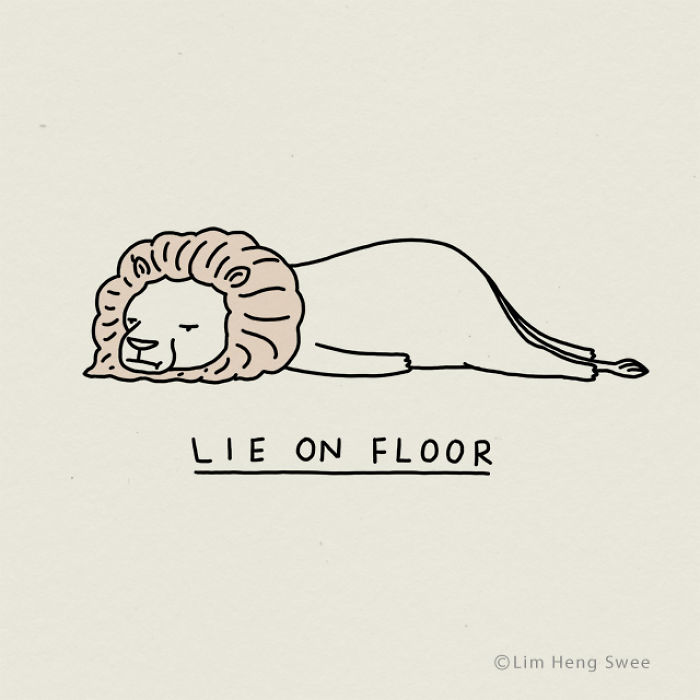 My 30 Moody Animal Puns To Help You Get Through Lockdown My 30 Moody Animal Puns To Help You Get Through Lockdown