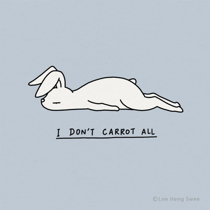 My 30 Moody Animal Puns To Help You Get Through Lockdown My 30 Moody Animal Puns To Help You Get Through Lockdown