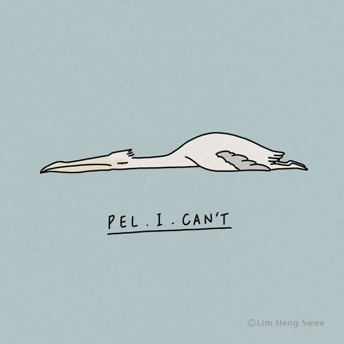 My 30 Moody Animal Puns To Help You Get Through Lockdown My 30 Moody Animal Puns To Help You Get Through Lockdown