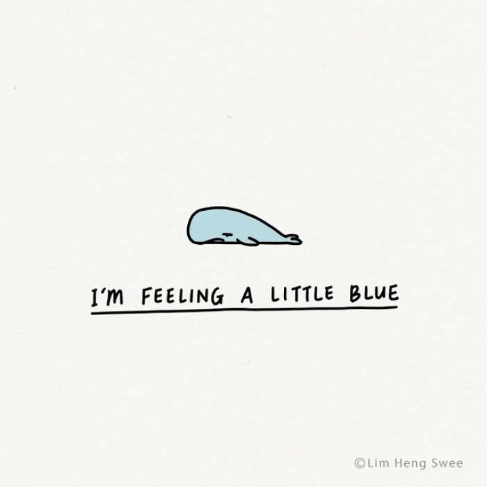 My 30 Moody Animal Puns To Help You Get Through Lockdown My 30 Moody Animal Puns To Help You Get Through Lockdown