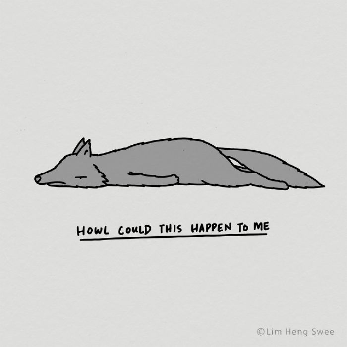 My 30 Moody Animal Puns To Help You Get Through Lockdown My 30 Moody Animal Puns To Help You Get Through Lockdown