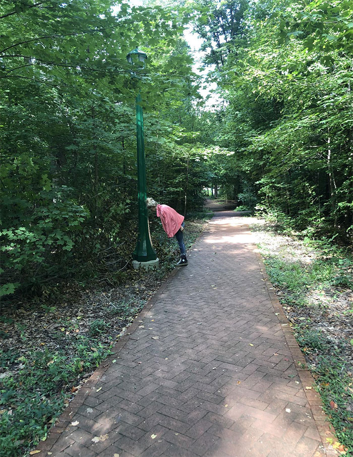 40 Times People Did Exactly What They Were Asked To But The Results Were Hilarious 40 Times People Did Exactly What They Were Asked To But The Results Were Hilarious