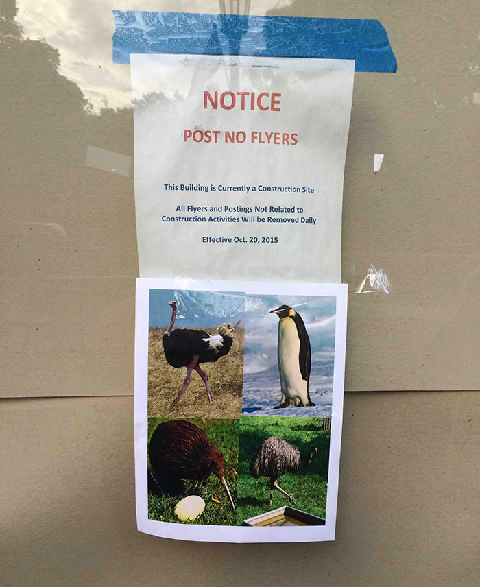 40 Times People Did Exactly What They Were Asked To But The Results Were Hilarious 40 Times People Did Exactly What They Were Asked To But The Results Were Hilarious