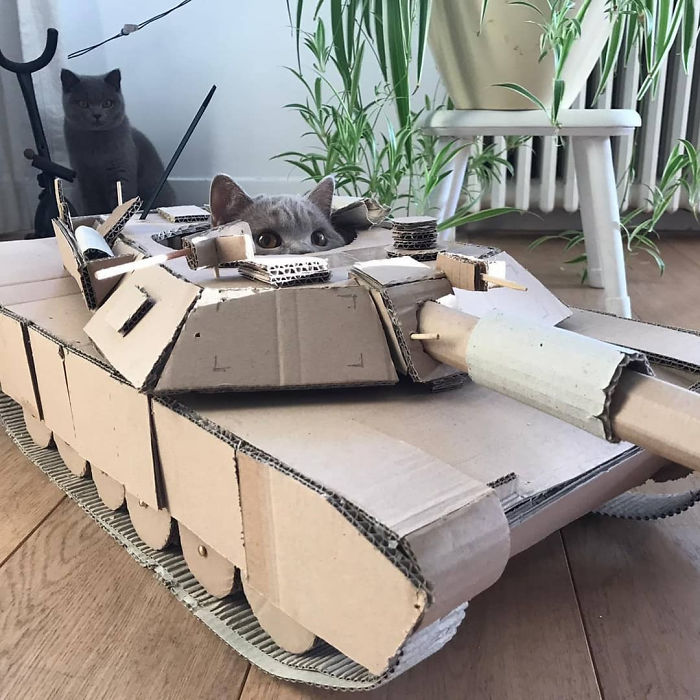 People Are So Bored During Quarantine That They’re Building Cardboard Tanks For Their Cats (30 Pics) People Are So Bored During Quarantine That They’re Building Cardboard Tanks For Their Cats (30 Pics)