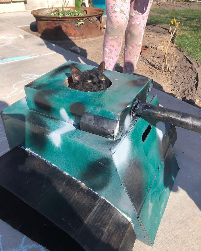 People Are So Bored During Quarantine That They’re Building Cardboard Tanks For Their Cats (30 Pics) People Are So Bored During Quarantine That They’re Building Cardboard Tanks For Their Cats (30 Pics)