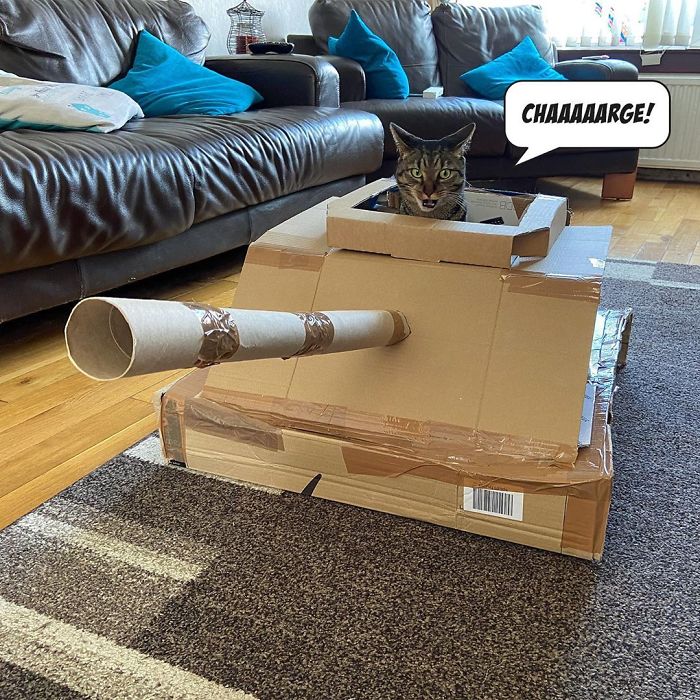 People Are So Bored During Quarantine That They’re Building Cardboard Tanks For Their Cats (30 Pics) People Are So Bored During Quarantine That They’re Building Cardboard Tanks For Their Cats (30 Pics)