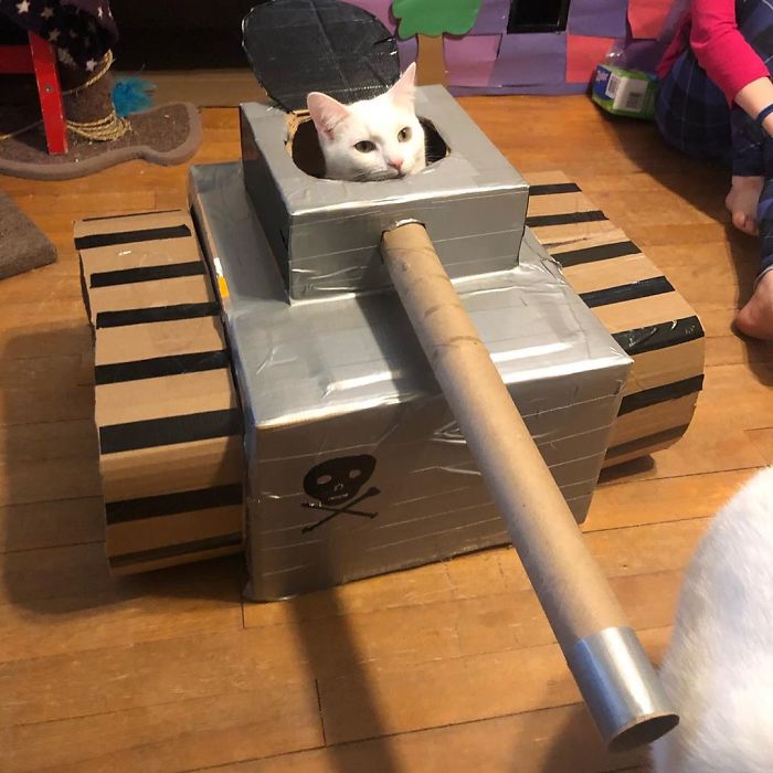 People Are So Bored During Quarantine That They’re Building Cardboard Tanks For Their Cats (30 Pics) People Are So Bored During Quarantine That They’re Building Cardboard Tanks For Their Cats (30 Pics)