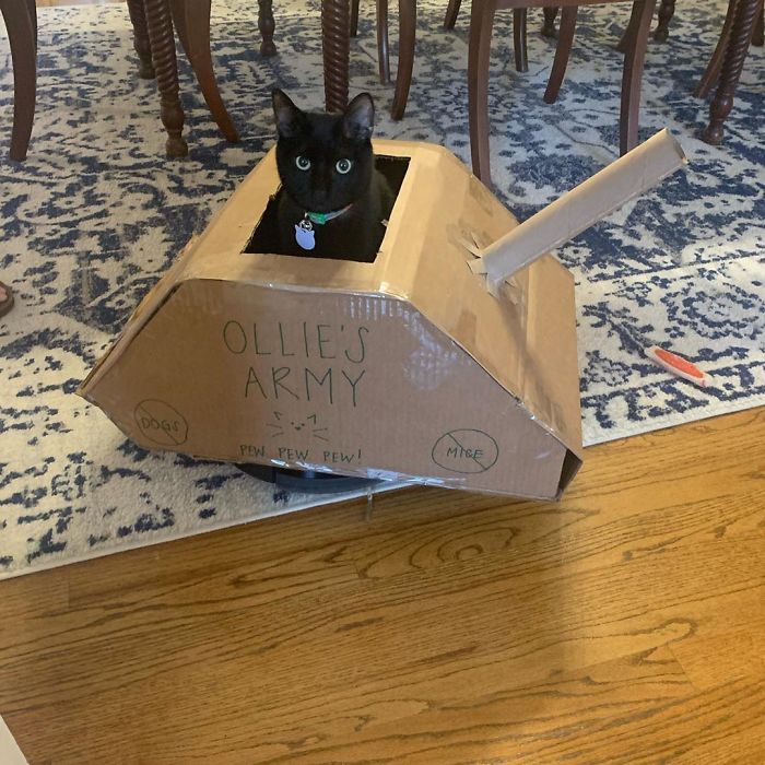 People Are So Bored During Quarantine That They’re Building Cardboard Tanks For Their Cats (30 Pics) People Are So Bored During Quarantine That They’re Building Cardboard Tanks For Their Cats (30 Pics)