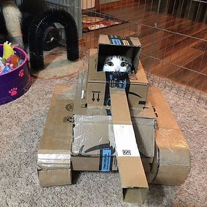 People Are So Bored During Quarantine That They’re Building Cardboard Tanks For Their Cats (30 Pics) People Are So Bored During Quarantine That They’re Building Cardboard Tanks For Their Cats (30 Pics)