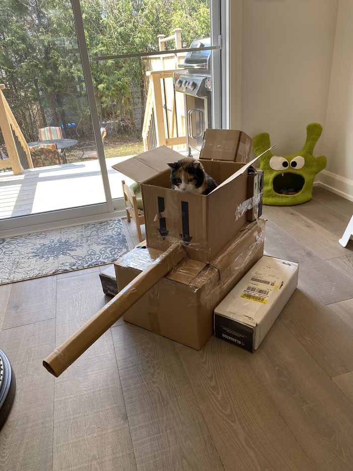 People Are So Bored During Quarantine That They’re Building Cardboard Tanks For Their Cats (30 Pics) People Are So Bored During Quarantine That They’re Building Cardboard Tanks For Their Cats (30 Pics)