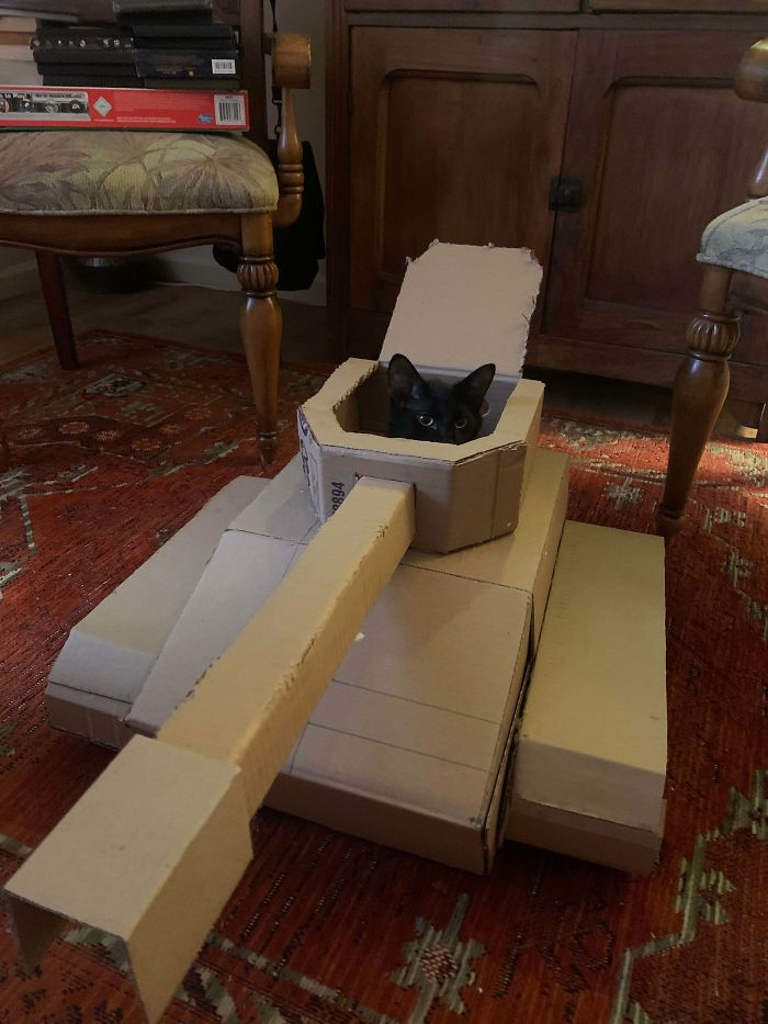 People Are So Bored During Quarantine That They’re Building Cardboard Tanks For Their Cats (30 Pics) People Are So Bored During Quarantine That They’re Building Cardboard Tanks For Their Cats (30 Pics)