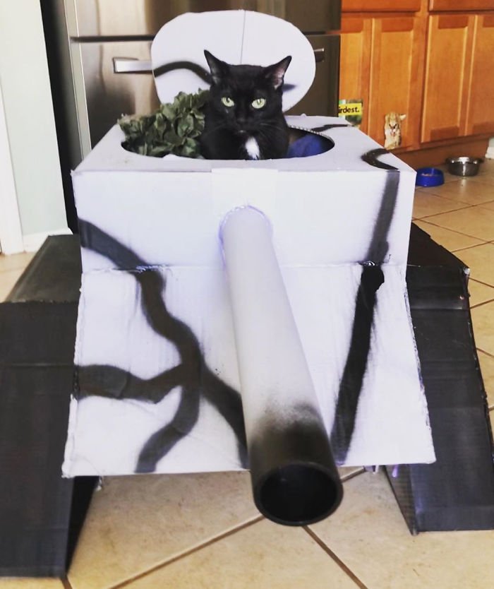 People Are So Bored During Quarantine That They’re Building Cardboard Tanks For Their Cats (30 Pics) People Are So Bored During Quarantine That They’re Building Cardboard Tanks For Their Cats (30 Pics)