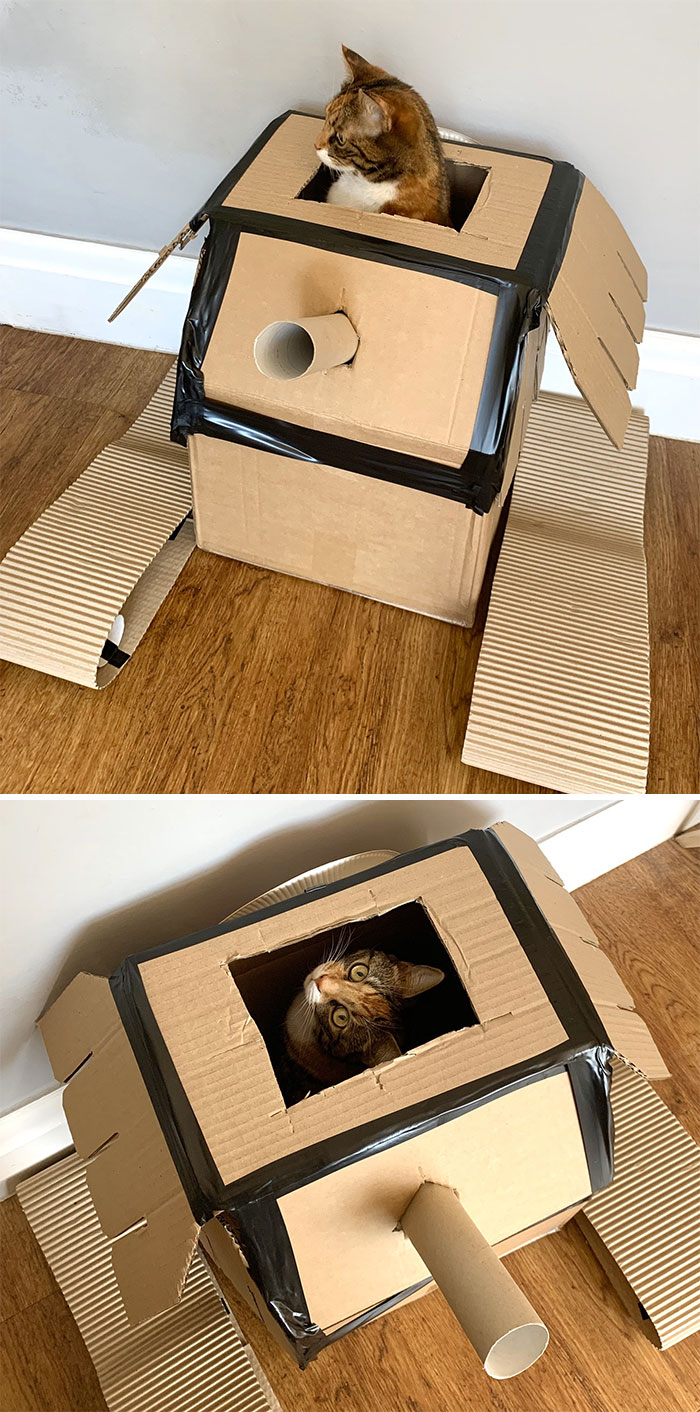 People Are So Bored During Quarantine That They’re Building Cardboard Tanks For Their Cats (30 Pics) People Are So Bored During Quarantine That They’re Building Cardboard Tanks For Their Cats (30 Pics)