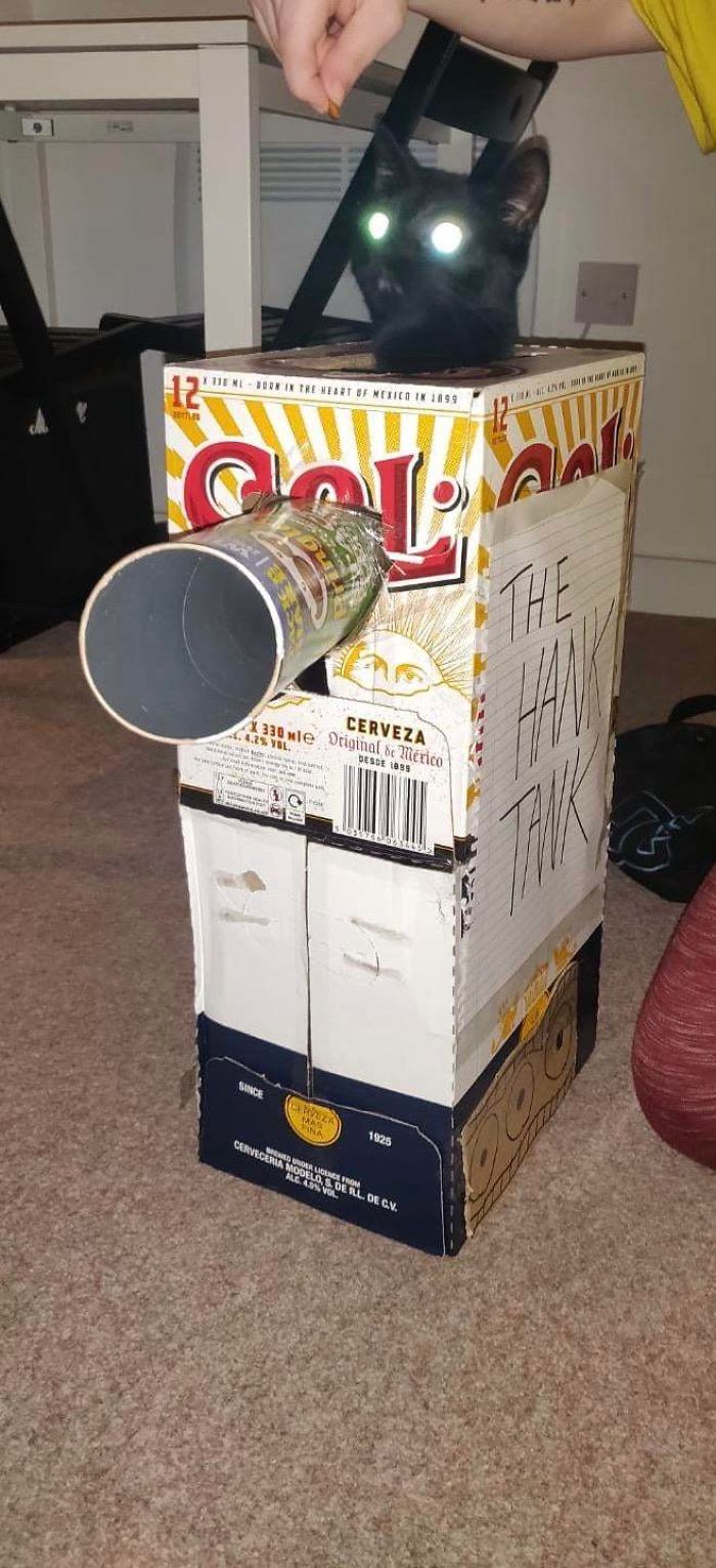 People Are So Bored During Quarantine That They’re Building Cardboard Tanks For Their Cats (30 Pics) People Are So Bored During Quarantine That They’re Building Cardboard Tanks For Their Cats (30 Pics)