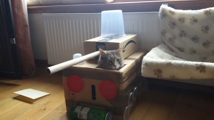 People Are So Bored During Quarantine That They’re Building Cardboard Tanks For Their Cats (30 Pics) People Are So Bored During Quarantine That They’re Building Cardboard Tanks For Their Cats (30 Pics)