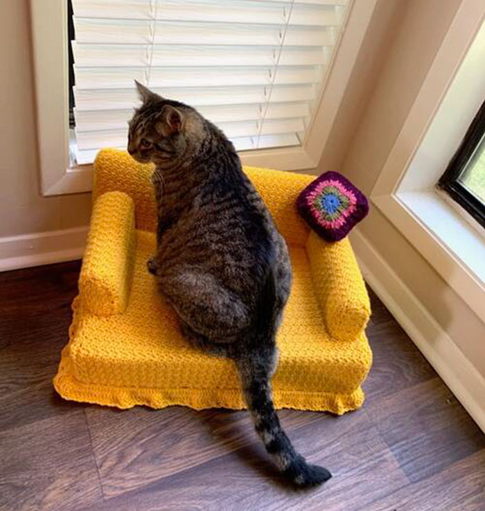 People are Using Their Free Time To Crochet Tiny Couches For Their Cats