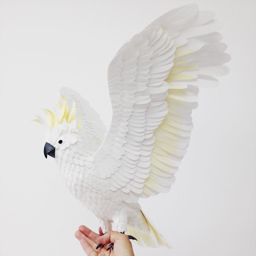 Artist Uses Paper To Recreate Bird Species All Around The World (30 Pics) Artist Uses Paper To Recreate Bird Species All Around The World (30 Pics)