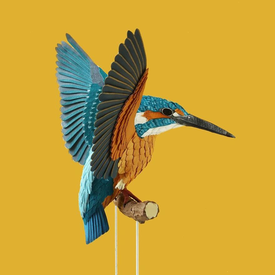 Artist Uses Paper To Recreate Bird Species All Around The World (30 Pics) Artist Uses Paper To Recreate Bird Species All Around The World (30 Pics)