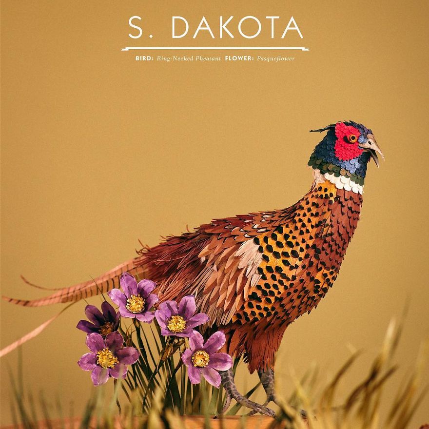 Artist Uses Paper To Recreate Bird Species All Around The World (30 Pics) Artist Uses Paper To Recreate Bird Species All Around The World (30 Pics)