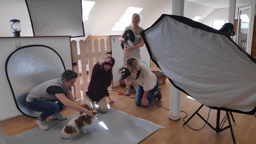 I Created This Interactive App Featuring Funny Dogs To Bring Positivity To Kids With Cancer I Created This Interactive App Featuring Funny Dogs To Bring Positivity To Kids With Cancer